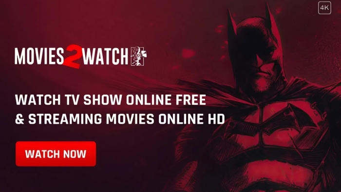Movies2Watch homepage banner showing free HD streaming movies and series
